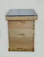 Starter Hive